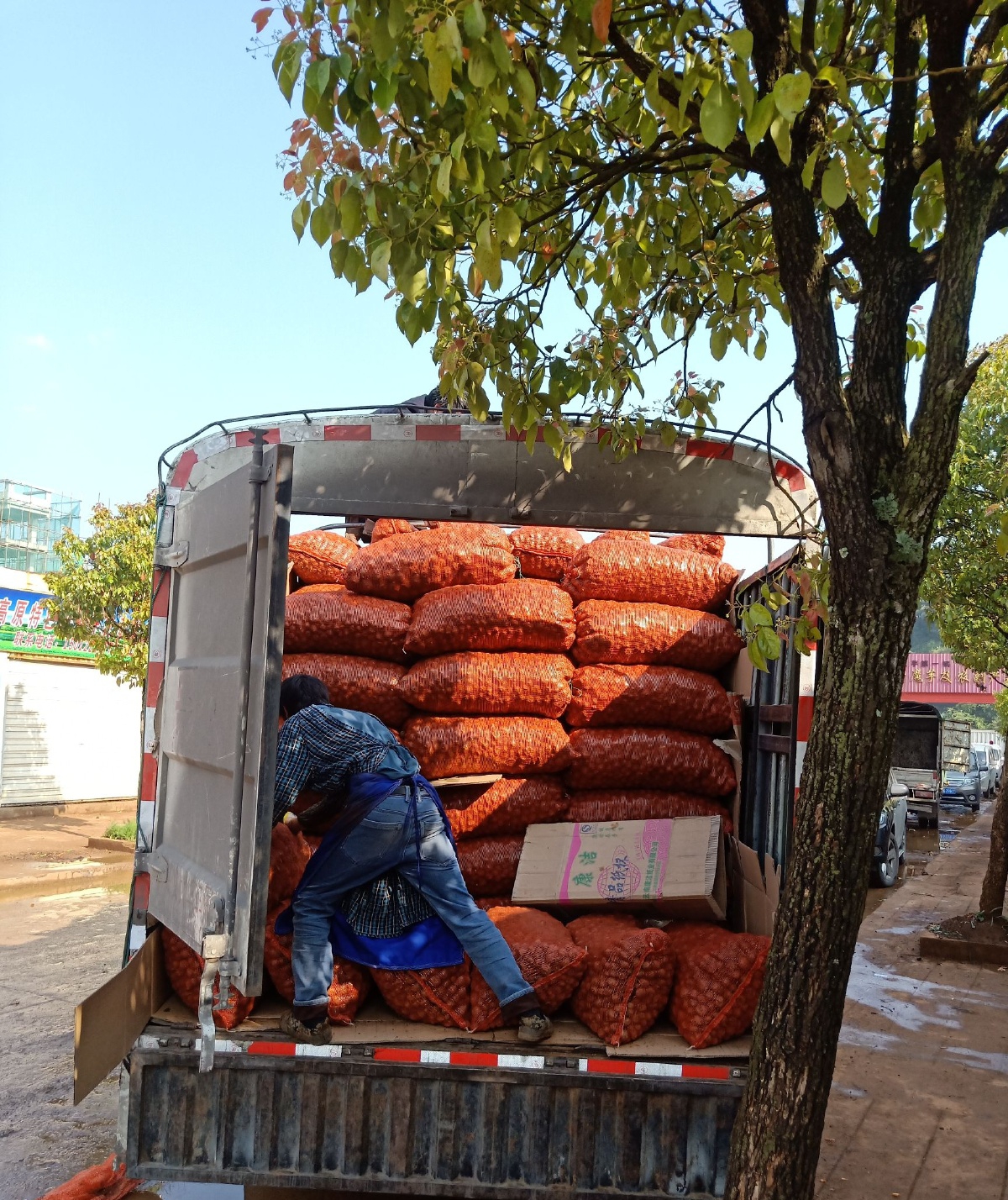 魔芋下游消费市场主要有哪些？（www.32nb.com）