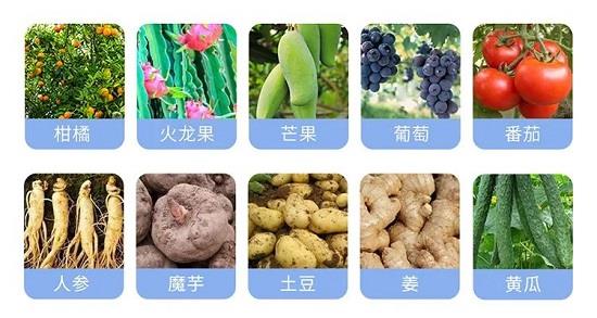 氢氧化铜可以和中生菌素一起使用吗？巫溪发哥（www.32nb.com）