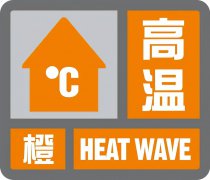 40℃以上高温天气，魔芋如何防护不死苗