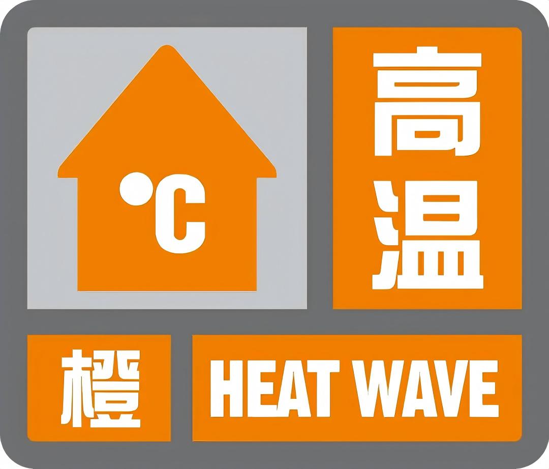 40℃以上高温天气，魔芋如何防护不死苗从60%以上降至10%以内的11年实操披露（www.32nb.com）
